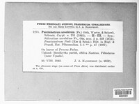 Thekopsora areolata image